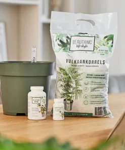 Beautanic Lifestyle plantenvoeding Superfood 100ml