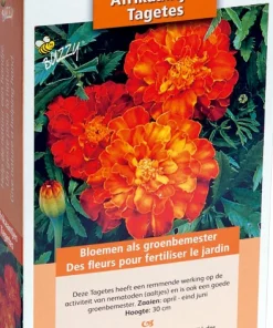 Buzzy groenbemester Afrikaantjes (Tagetes) 50gr